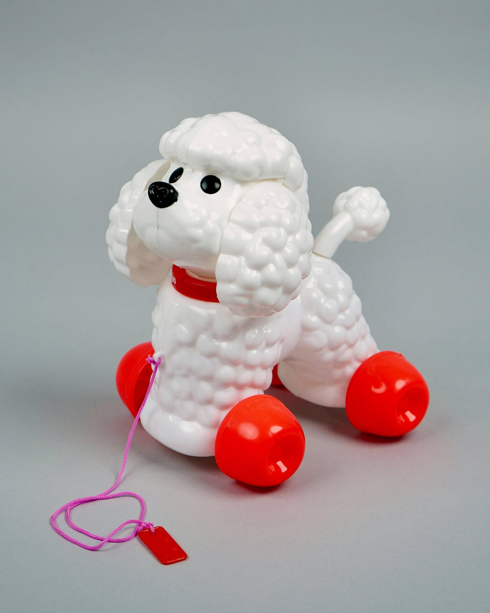 poodle-dog-605621_1200x1200.
